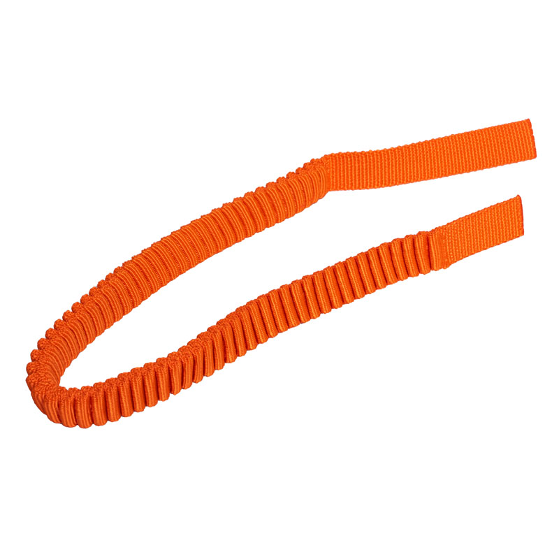 Perché la cinghia elastica in poliestere per cani è la scelta perfetta per i moderni accessori per animali domestici?